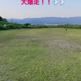 最近のあれこれ。の画像