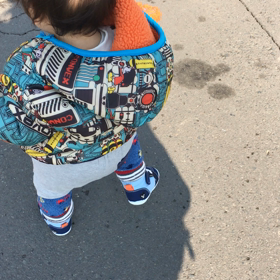 1y1m17d お散歩の画像