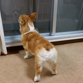 1歳になっても？！の画像