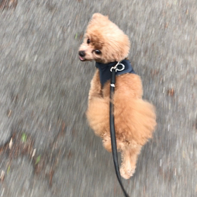 やっと見つけたご飯❗️の画像