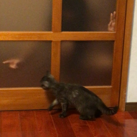 新しい遊び。の画像