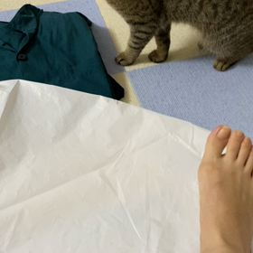 優しさのかけらもない話の画像