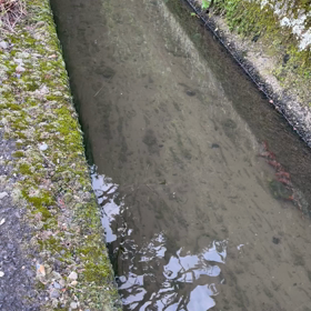 精一杯の抵抗の画像