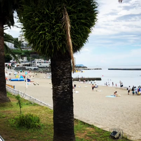 床の滑り止め、その仕組みは浸透圧にありの画像