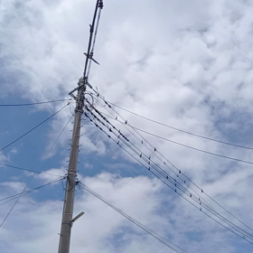 オナガみえるかな？の画像