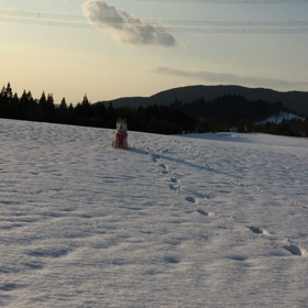 雪のゴルフ場での画像
