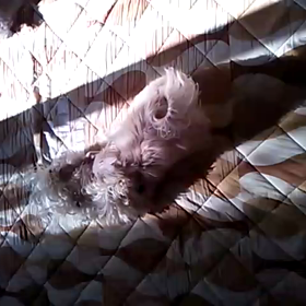 今❤️昔❤️の画像