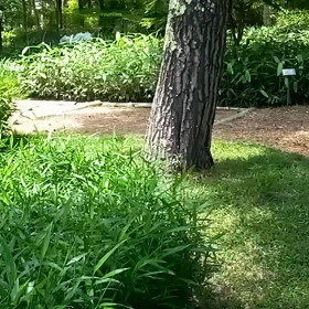 【からだ】微妙に恥ずかしい。の画像