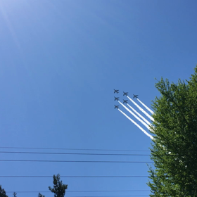 ちょっとだけ撮れましたの画像