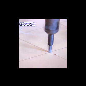 昨日の答えの画像