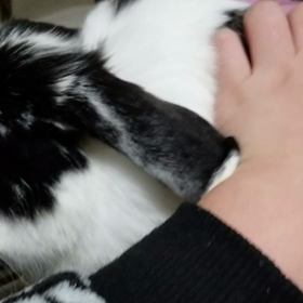 20年振りにインフル良し悪し。の画像