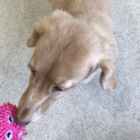 ♪プレイルーム動画♪の画像