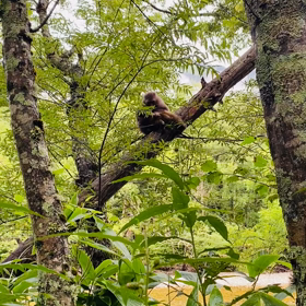上高地へ⑥ ２日目　動画　朝の散策その２の画像