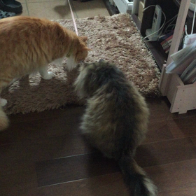 アウトドア派？インドア派？？？、の画像