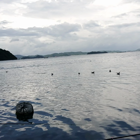 基地でフカセでチヌの画像