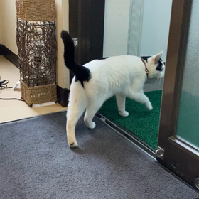 事務所に戻りましたの画像