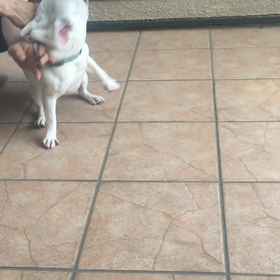 土曜日・・・だけどの画像