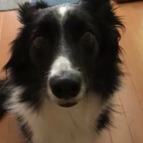 ハッピーハロウィンの画像