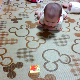 今日の凜ちゃんの画像