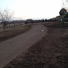 ラフコリードックランの画像