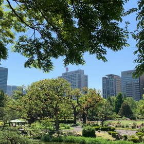 Beautiful dayの画像