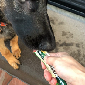 新しいのゲット！の画像