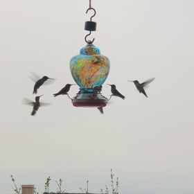 煙たい朝の画像