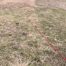 2月27日  日常の画像