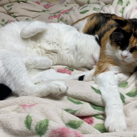 10/23のひとコマの画像