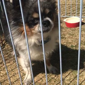 日向ぼっこの画像