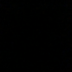 ホタルの画像