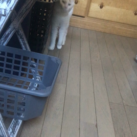 朝から爆笑の画像