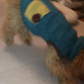 ルイくん たまごちゃんで遊ぶの画像