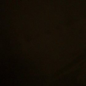 隠れんぼできないね^^;の画像