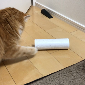 明日はお休みの画像