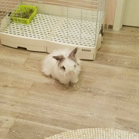 大雪だけど。の画像