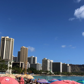 あ〜、ハワイに行きたい！の画像