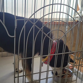 なんで(・_・?)の画像