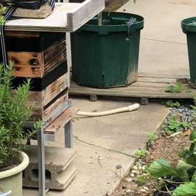 時騒ぎ？の画像