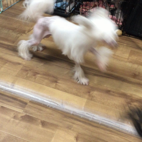 孫っち と 爺ちゃんの画像