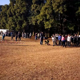 航空公園練習 ダッシュの場②の画像