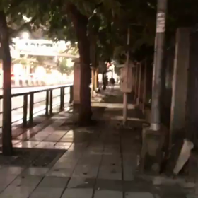 【バンコク】路上に大きなネズミがたくさんの画像