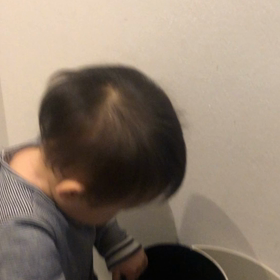 ゴミ箱探検隊の画像