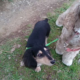 大成功☆と、グッタリ…な日♪ヽ(´▽｀)/(ーー;)の画像