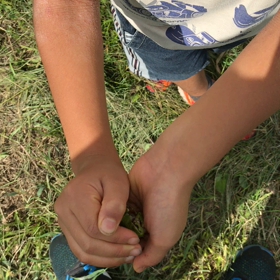 パブリックコメント（内閣府）の画像