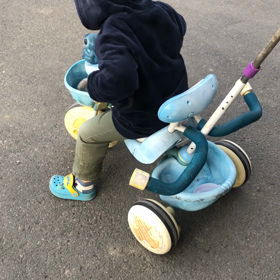 三男　三輪車の画像