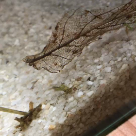 そろそろお仕事が…の画像