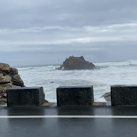 9/30、大荒れです。の画像