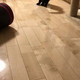 持って来いシリーズ さらなる進歩の画像