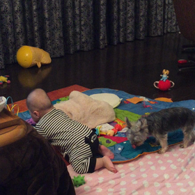 にこにこ。の画像